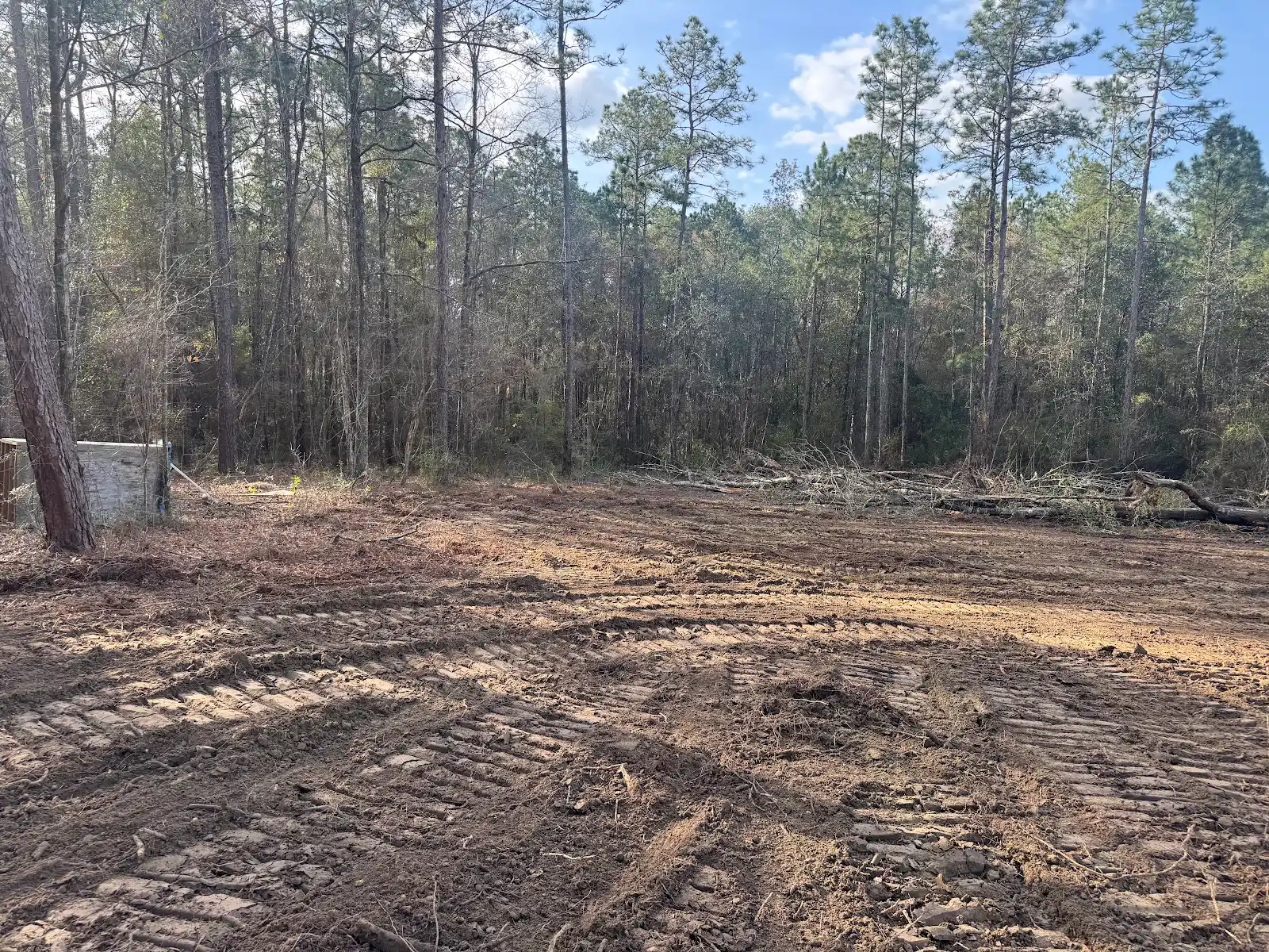 Earthwork beside a wooded boundary