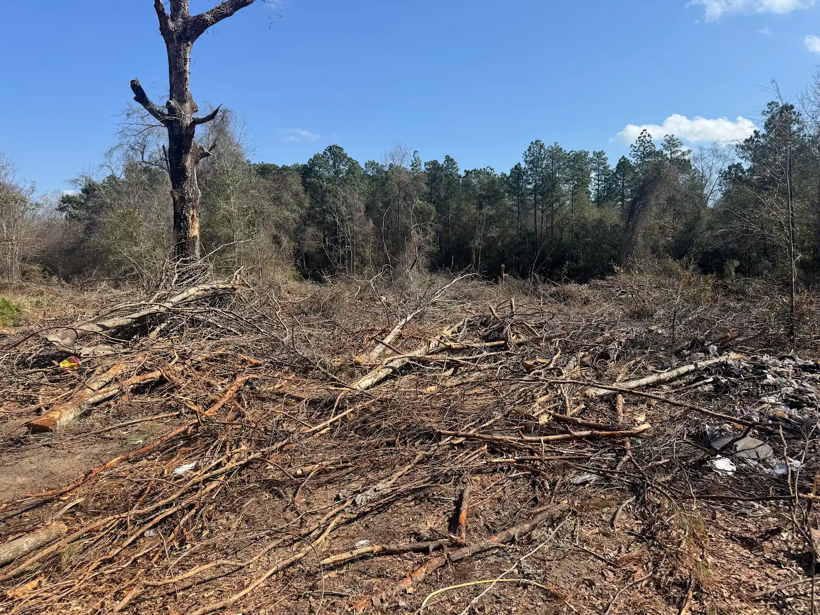 Brush and timber at a clearing site