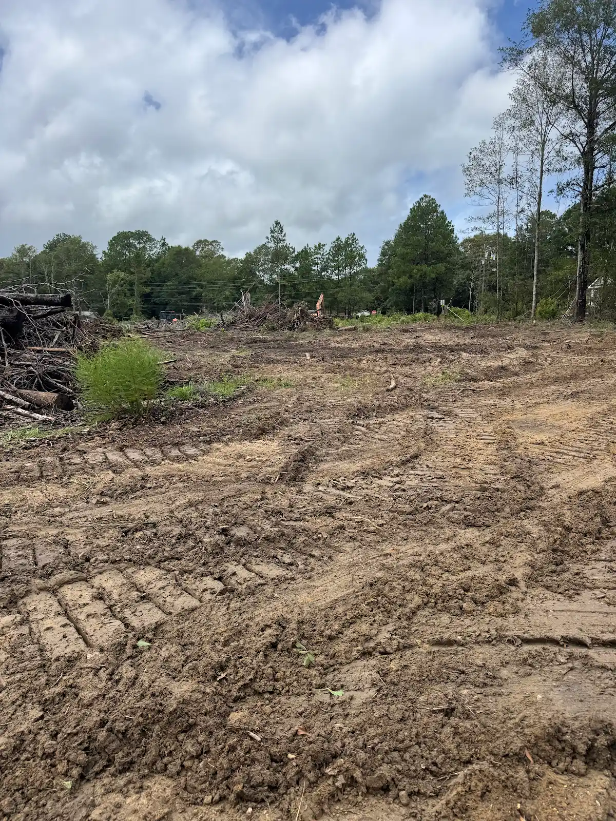 Worksite access and cleared timber